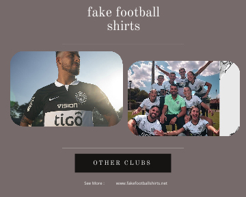 fake Olimpia football shirts 23-24